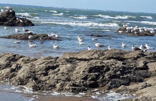 Saint-Brevin-l'Ocean Apartment | Appartement Calme Proche Plage avec Terrasse Sud, Parking Sécurisé et Équipements Complets - FR-1-306-909