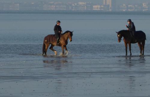 Saint-Brevin-l'Ocean Apartment | Appartement Calme Proche Plage avec Terrasse Sud, Parking Sécurisé et Équipements Complets - FR-1-306-909