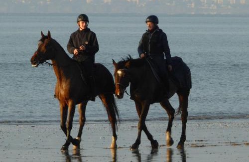 Saint-Brevin-l'Ocean Apartment | Appartement Calme Proche Plage avec Terrasse Sud, Parking Sécurisé et Équipements Complets - FR-1-306-909