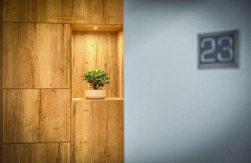 Saint-Martin-d'Heres Apartment | Appartement luxueux avec jacuzzi