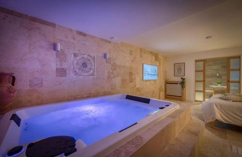Saint-Martin-d'Heres Apartment | Appartement luxueux avec jacuzzi
