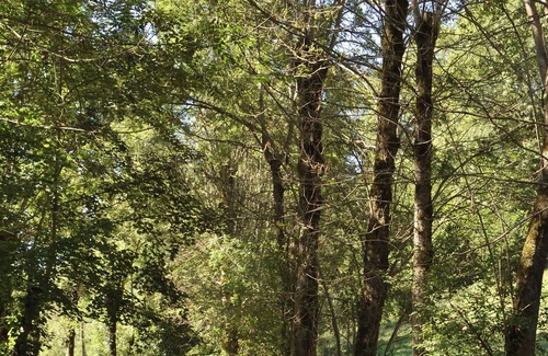 Cier-de-Luchon Apartment | Appartement Typique