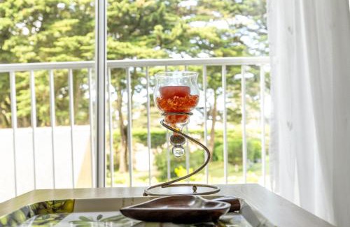 Saint-Pierre-Quiberon Apartment | Appartement T3 vacances à la mer