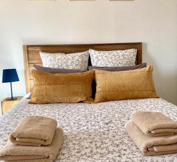 Saint-Priest-en-Jarez Apartment | Appartement en face Hopital Nord