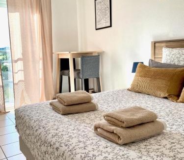 Saint-Priest-en-Jarez Apartment | Appartement en face Hopital Nord