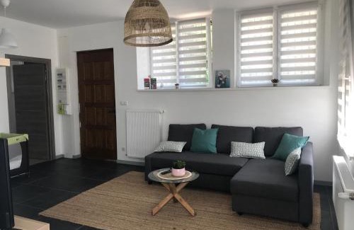 Sainte-Croix-aux-Mines Apartment | Appartement au cœur du Val d'Argent