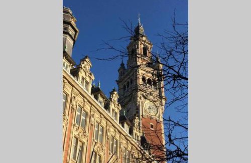 Historic Center Apartment | Appartement grande chaussée Lille