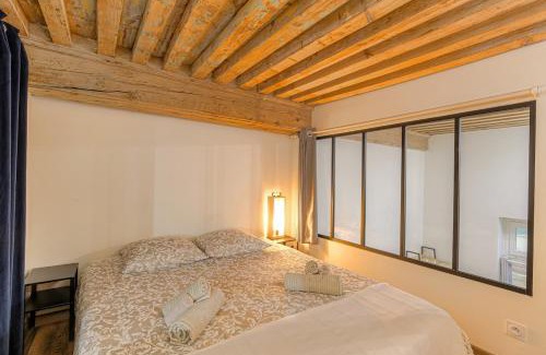 La Croix Rousse Apartment | Appartement "Le Canut" Croix-Rousse Lyon Centre