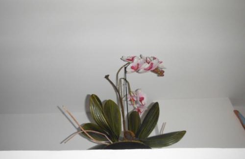 Mallemort Apartment | Appartement Le Romarin