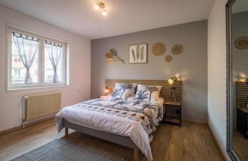 Saverne Apartment | Appartement Le Saver'Zaru, centre ville, T2 55m²