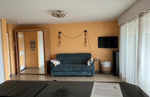 La Bocca Nord Apartment | Appartement Les Palmiers - Vacances Cote d'Azur