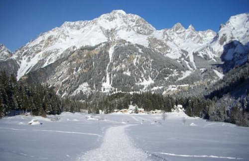 Pralognan-la-Vanoise Apartment | Appartement Montana 8