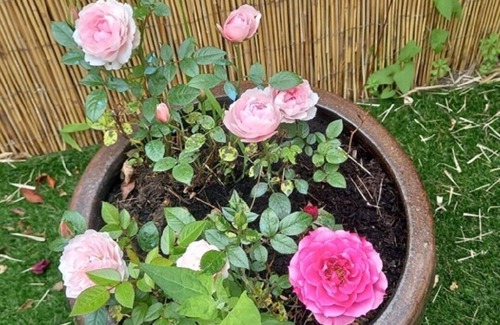 Marnes-la-Coquette Apartment | APPARTEMENT MEUBLE & EQUIPE A GARCHES/30 M2/1 250 €/MOIS