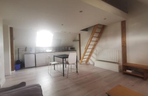 Vezin-le-Coquet Apartment | Appartement mezzanine aux portes de Rennes