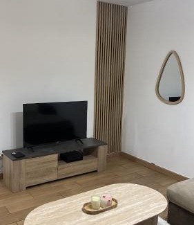 Romans-sur-Isere Apartment | Appartement moderne à 5min du centre ville et des quais