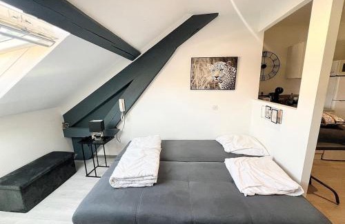 Belfort Apartment | Appartement moderne et central