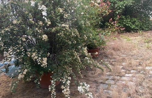 Malesherbes Apartment | Appartement Proche de Fontainebleau