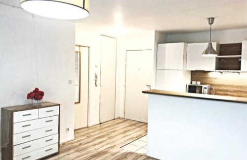 Vigneux-sur-Seine Apartment | Appartement proche de Paris et Orly
