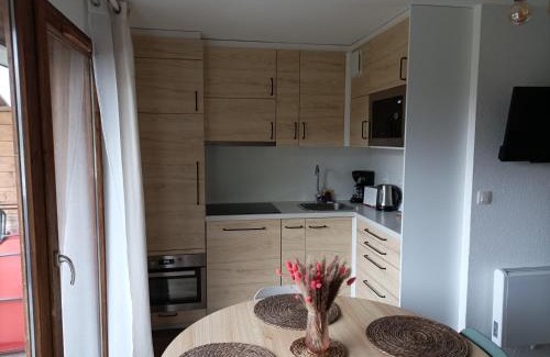 La Joue du Loup Apartment | Appartement rénové 2 pièces 6 pers, parking, équipements complets - FR-1-504-160