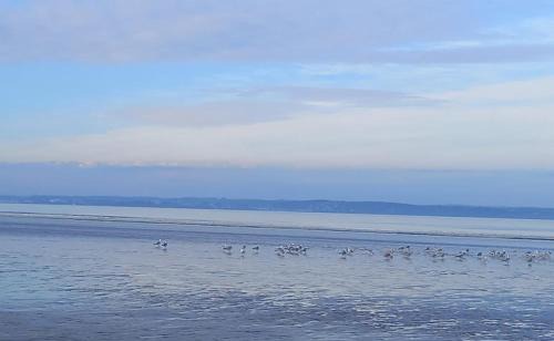 Saint-Nic Apartment | Appartement Saint-Nic, Pentrez,entre Douarnenez Crozon