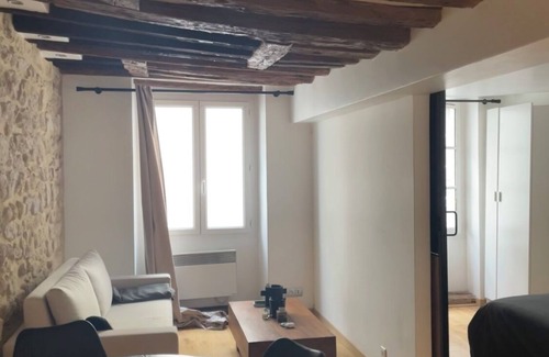 Saint-Thomas-d'Aquin Apartment | Appartement T3 - Paris 7E