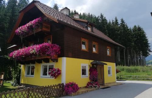 Sankt Andrae im Lungau Apartment | Appartement Taurachblick