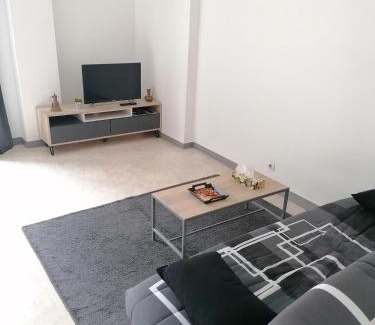 Vierzon Apartment | Appartement-Vierzon-centre