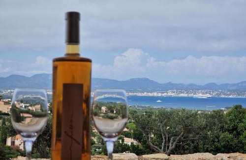 Saint-Aygulf Apartment | Appartement Vue Mer