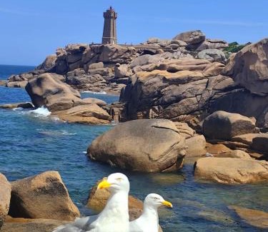 Plougasnou Apartment | Appartement vue mer, GR 34 et plage au pied !