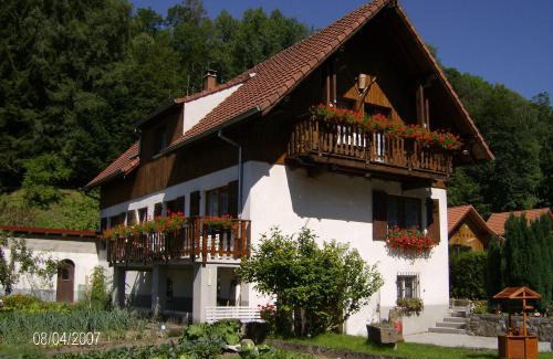 Soultzeren Apartment | appartement vue sur la montagne