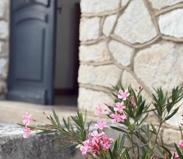 Joigny Apartment | Appartements de Diane - JOIGNY