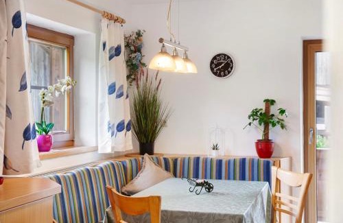 Wildschoenau Apartment | Appartment Stockeben