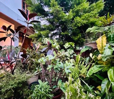 Shillong House | Apple Cherry Pine Green Homestay