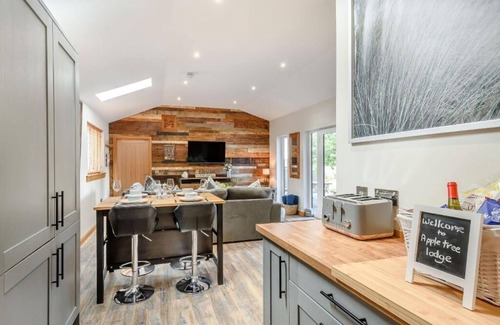 Ayr Cabin | Appletree Lodge with Hot Tub