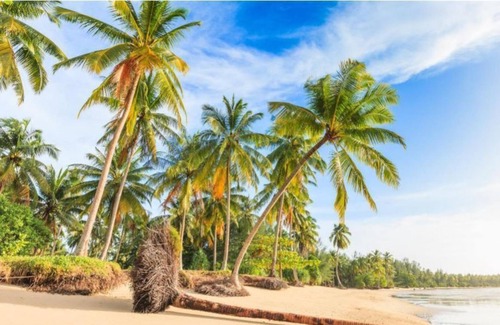 Khao Lak Resort | Apsara Deluxe - beautifully styled| 47 m²/506 ft² | DU#8