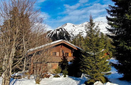 Chamonix-Mont-Blanc Apartment | Apt Grands Montets ski in, ski out