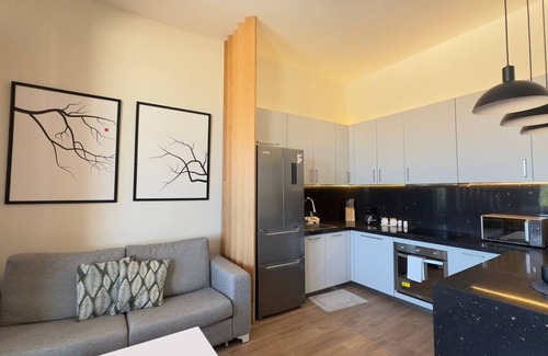 Punta Cana Apartment | Apt Modern Pool Laundry Gym AC Punta Cana Single ONE