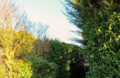 Finchley Church End Apartment | Apt w/Garden Oasis in Finchley