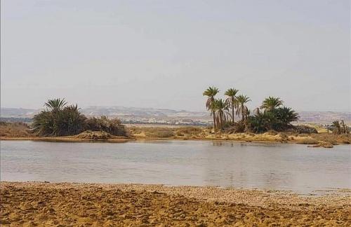 Siwa Ski Chalet | ARABIYA house