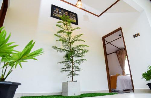 Ella House | Arches View Home Stay