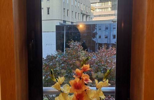 Lordelo do Ouro e Massarelos Apartment | Architects' Apartment