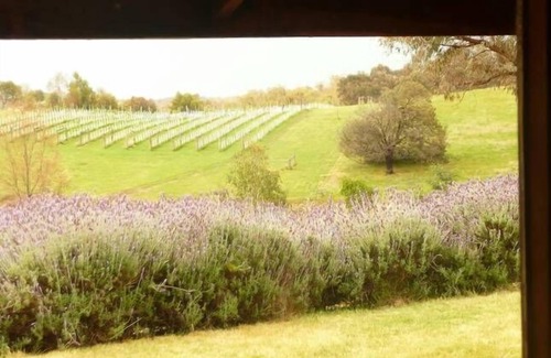 Guildford Other | Arda Cluggen - Near Daylesford