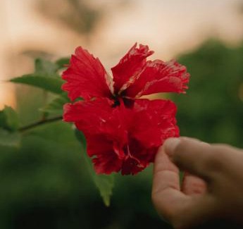 Santa Marta Hotel | Arrecifes Refugio Natural