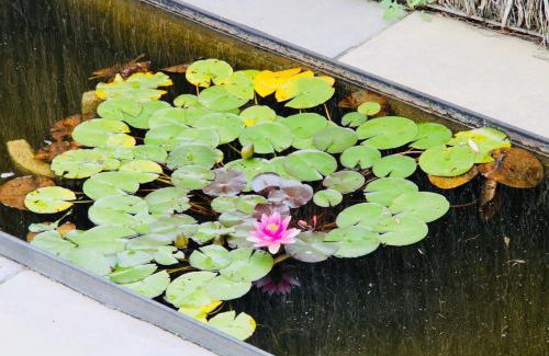 Stalhille Bed & Breakfast | Art-hill