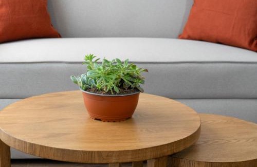 Kennedy Hotel | Art Homes 85