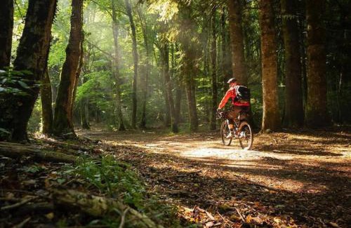 San Giovanni Rotondo Apartment | Art House Centro - Gargano