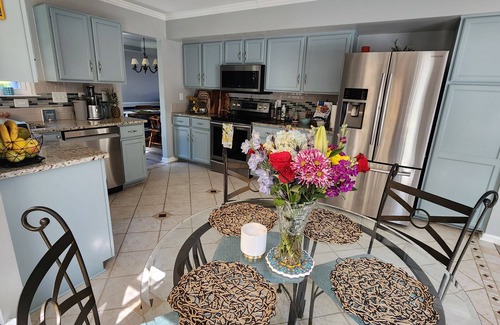Huntersville House | Art Jungle Sanctuary Home