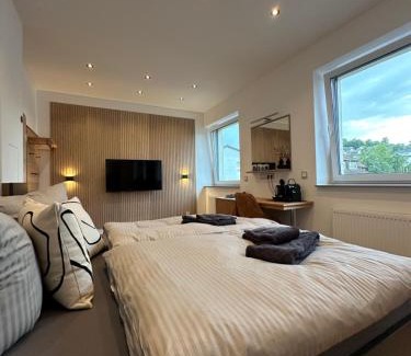 Sundern Apartment | Artemis Zimmervermietung 3