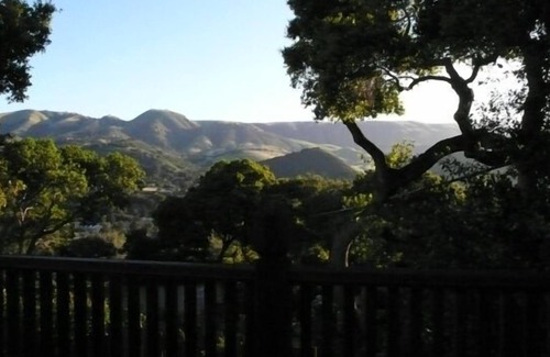 Carmel Valley Apartment | Artist's Treehouse Studio Apartment, 31 nite min.