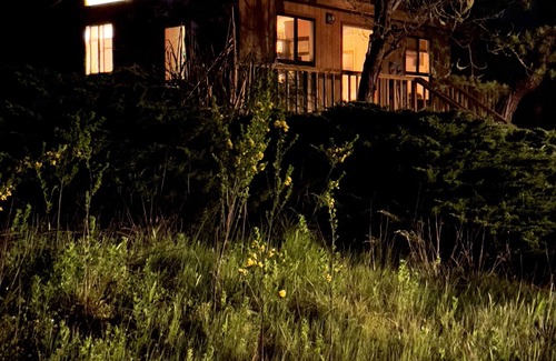 Monterey Cottage | ARTISTS RETREAT - 17 mile drive Pebble Beach